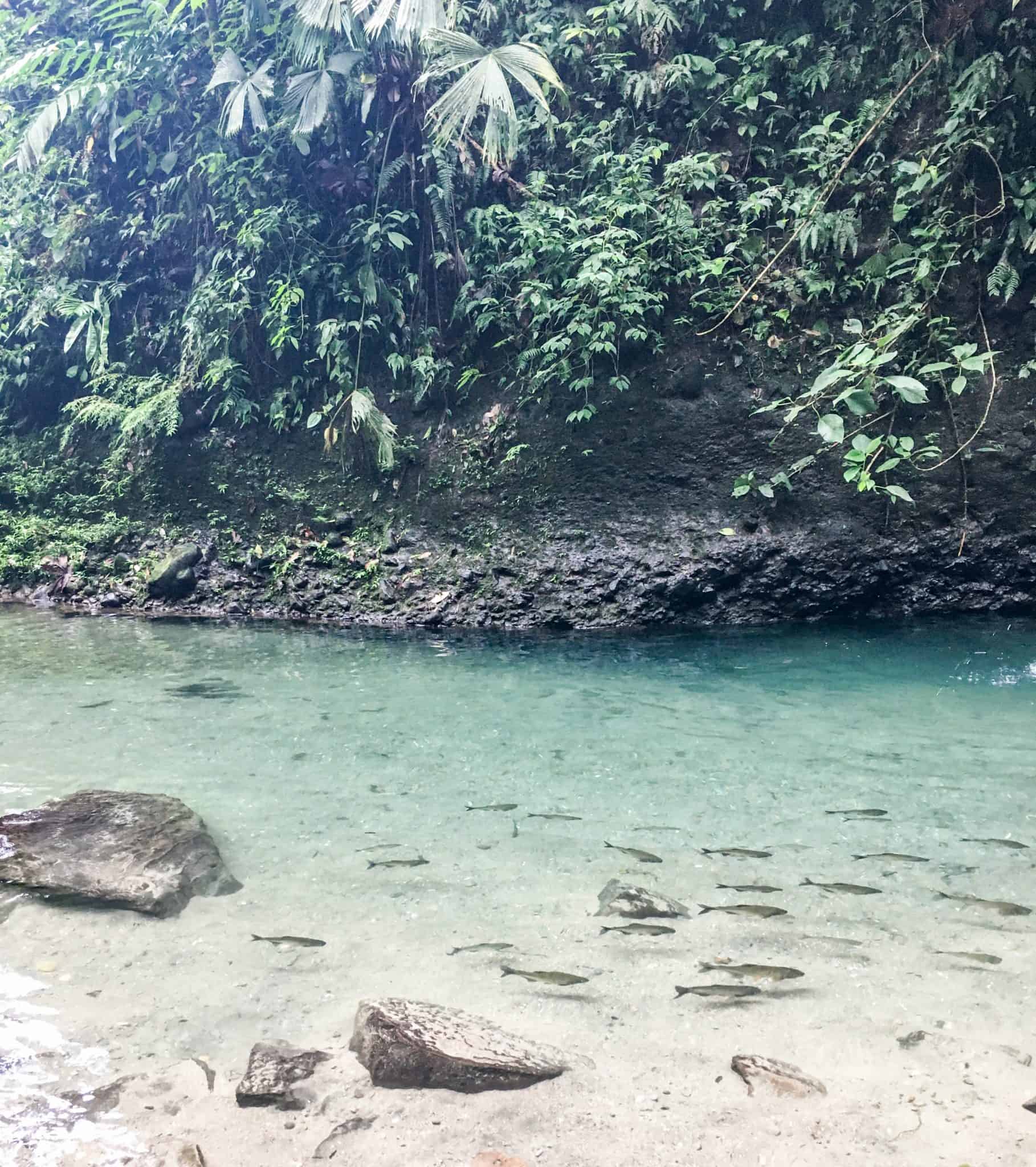 The Best Free & Cheap Activities In La Fortuna, Costa Rica Emysway
